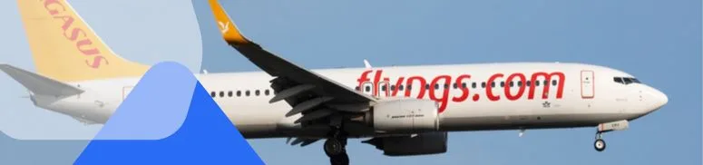 Pegasus Airlines compensation claim form