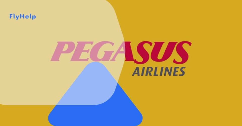 flight delay compensation form for Pegasus Airlines