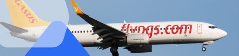 Pegasus Airlines compensation claim form